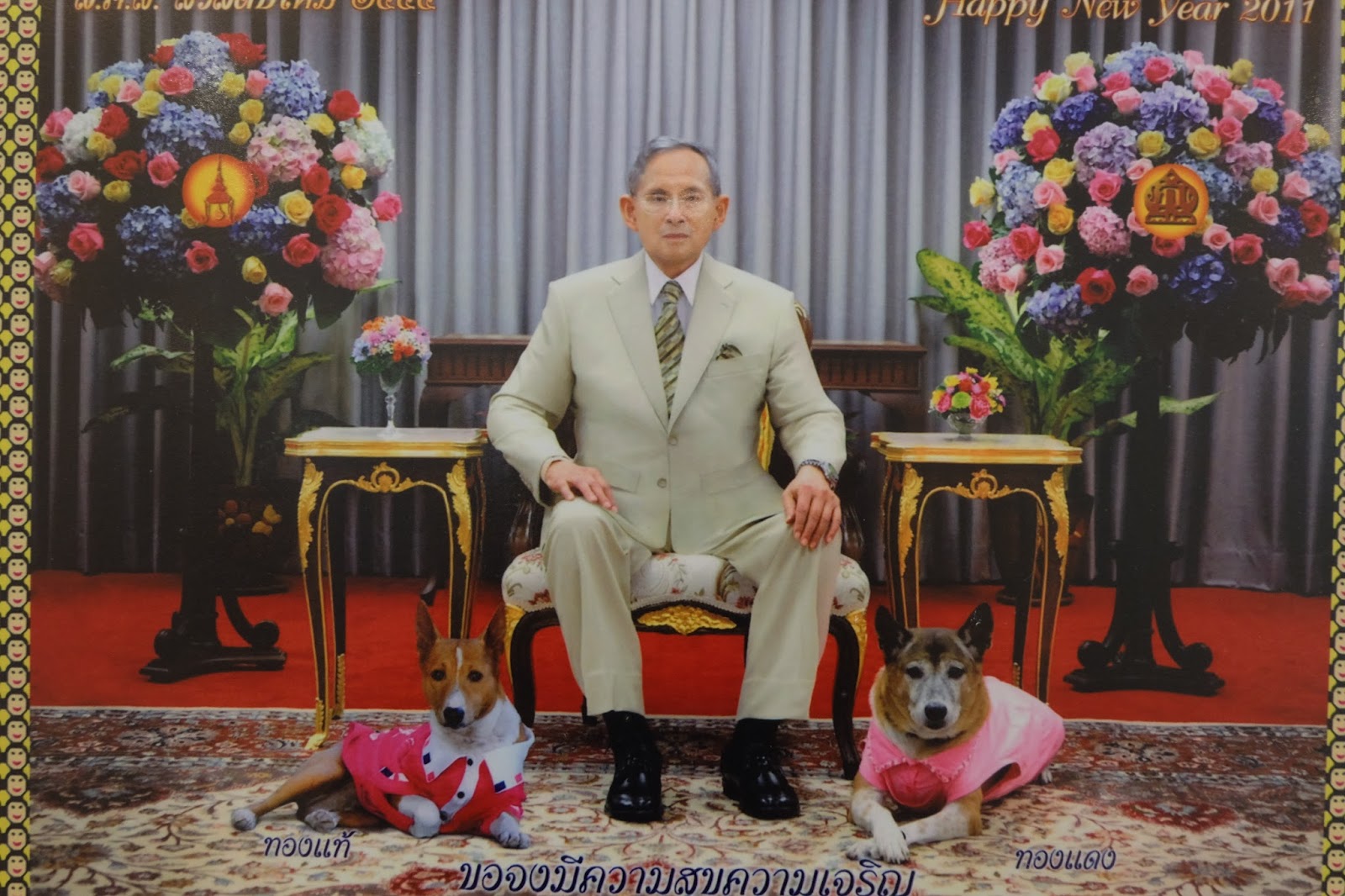 kee-hua-chee-live-king-bhumibol-adulyadej-of-thailand-loves-dogs-and
