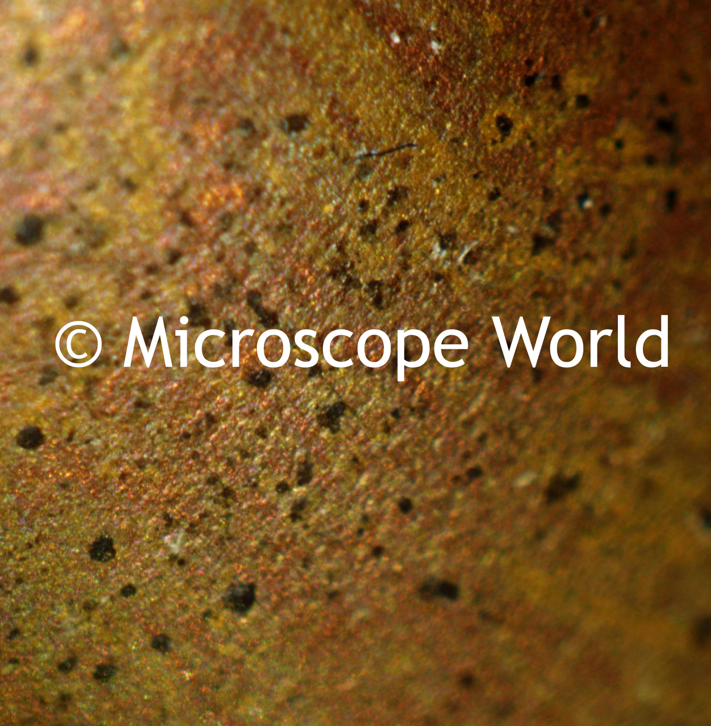 Microscope World Blog Copper Under the Microscope
