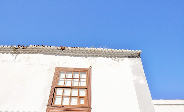 _DSC0095%2B%25282%2529.JPG