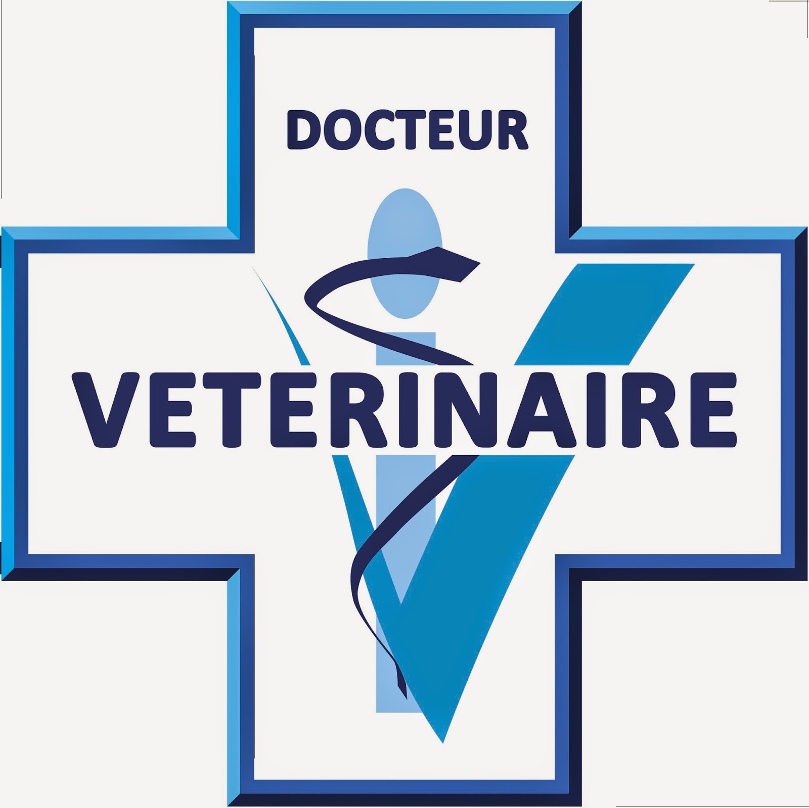 rencontre femme veterinaire