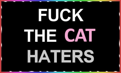 Fuck the Cat haters, Yeah! Fuck the Cat haters, Yeah!