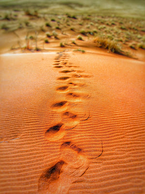 Footsteps in golden sand, with grass in the background