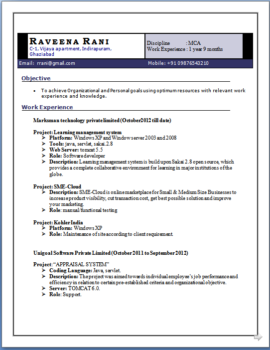 basic cv template word free download basic cv template word free download