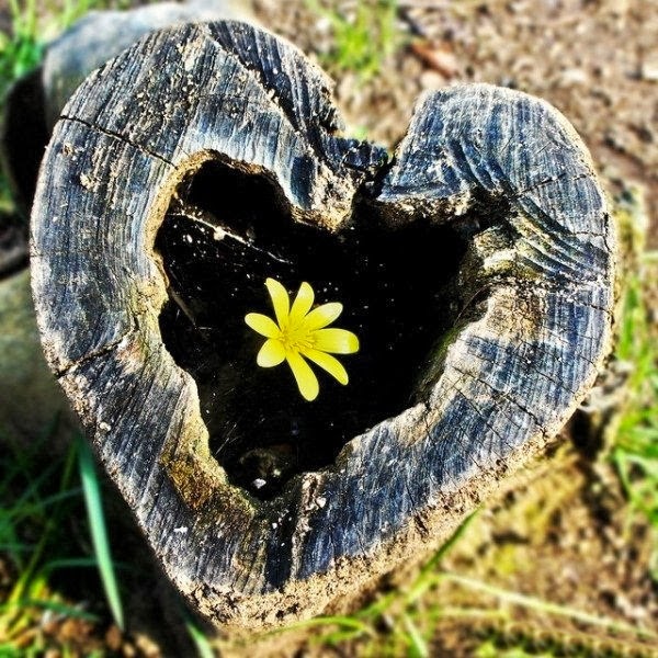 http://www.funmag.org/pictures-mag/nature/awesome-hearts-in-nature/