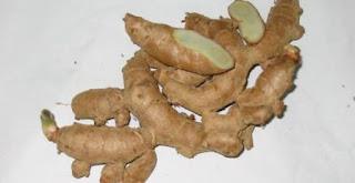 obat tradisional ambeien parah