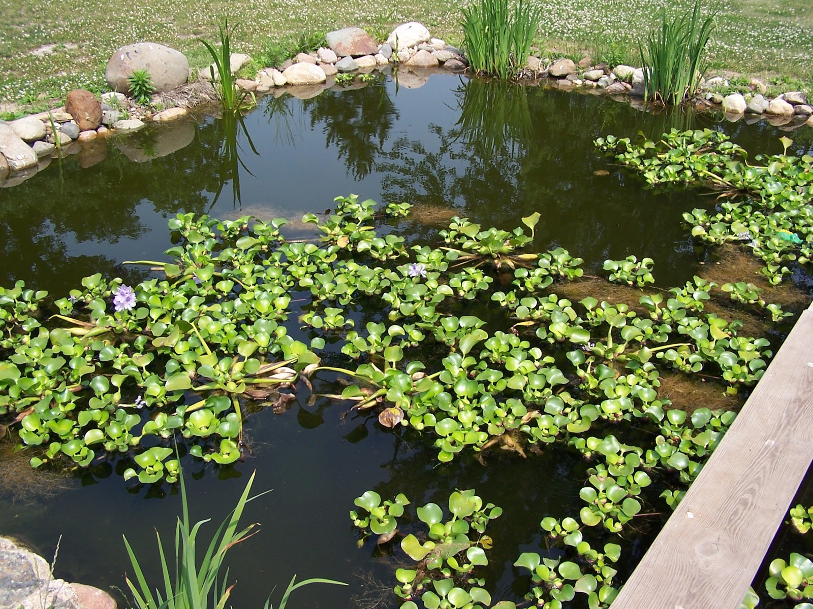 Anoxic Filtration System What is an Anoxic Filtration System or the