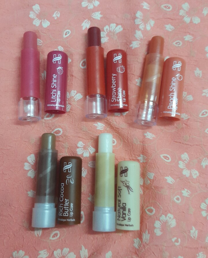 himalaya lipstick price