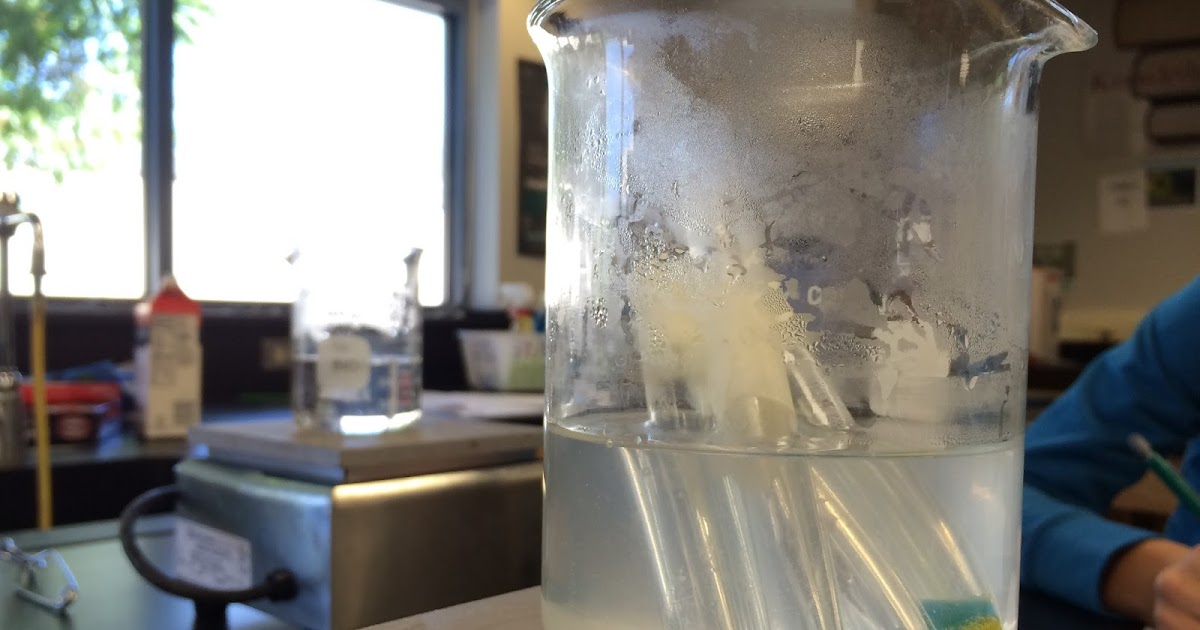 Lipid experiment conclusion picture