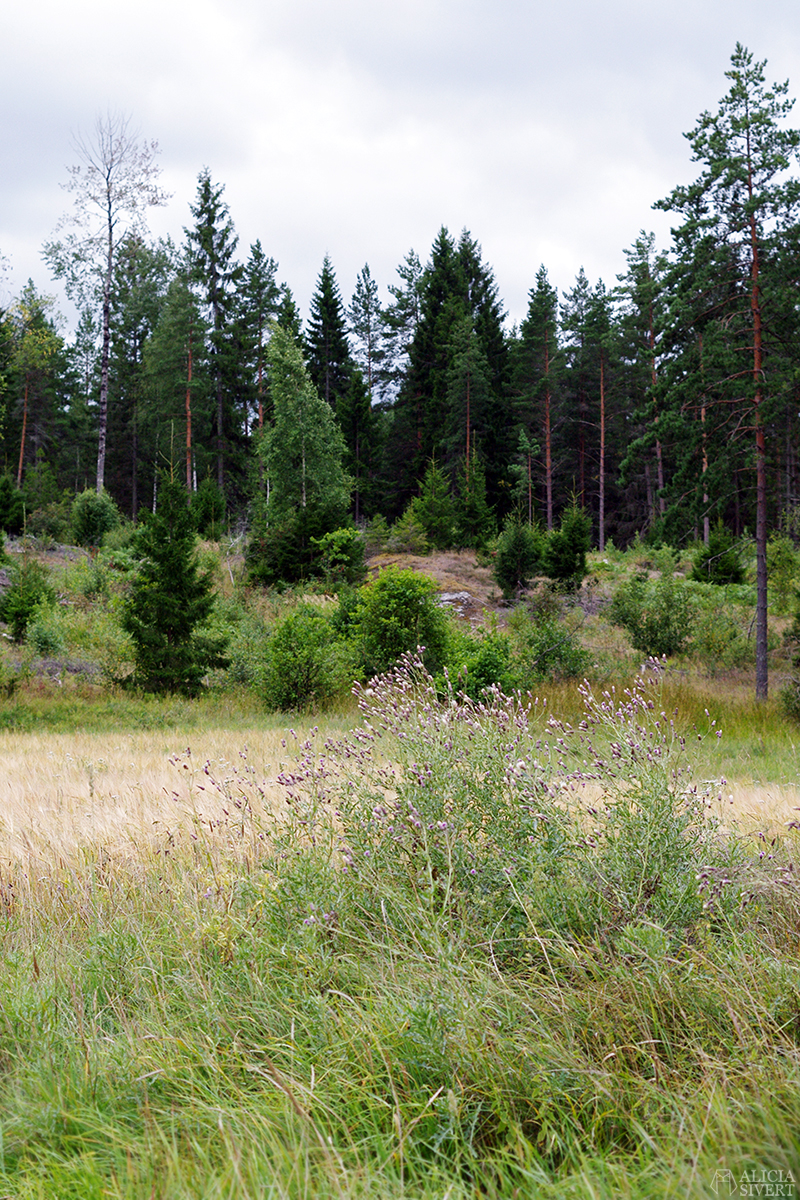 Workshop in natural plant dyeing, photo by Alicia Sivertsson. aliciasivert alicia sivert alicia sivertsson art lab gnesta lina sofia lundin växtfärgning naturlig färgning färga med växter skapa skapande kreativitet textil textilt hantverk textilhantverk konst textilkonst kurs workshop