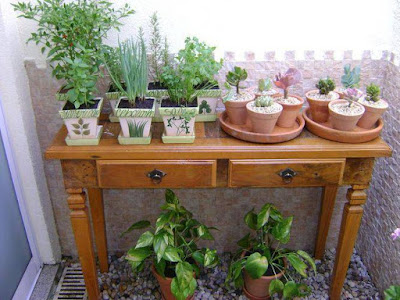 Pequenos jardins para você criar Pequenos jardins para você criar