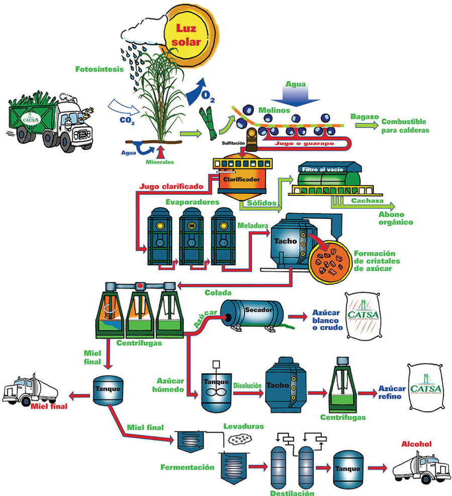 LA CAÑA DE AZUCAR Proceso industrial