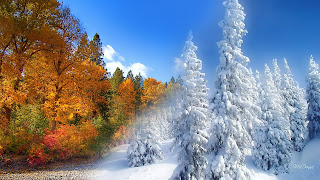Calendario Mágico: Solsticio de invierno Calendario Mágico: Solsticio de invierno