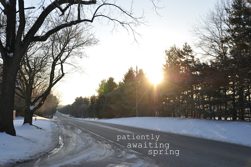 Simple Daisy: {waiting for spring}