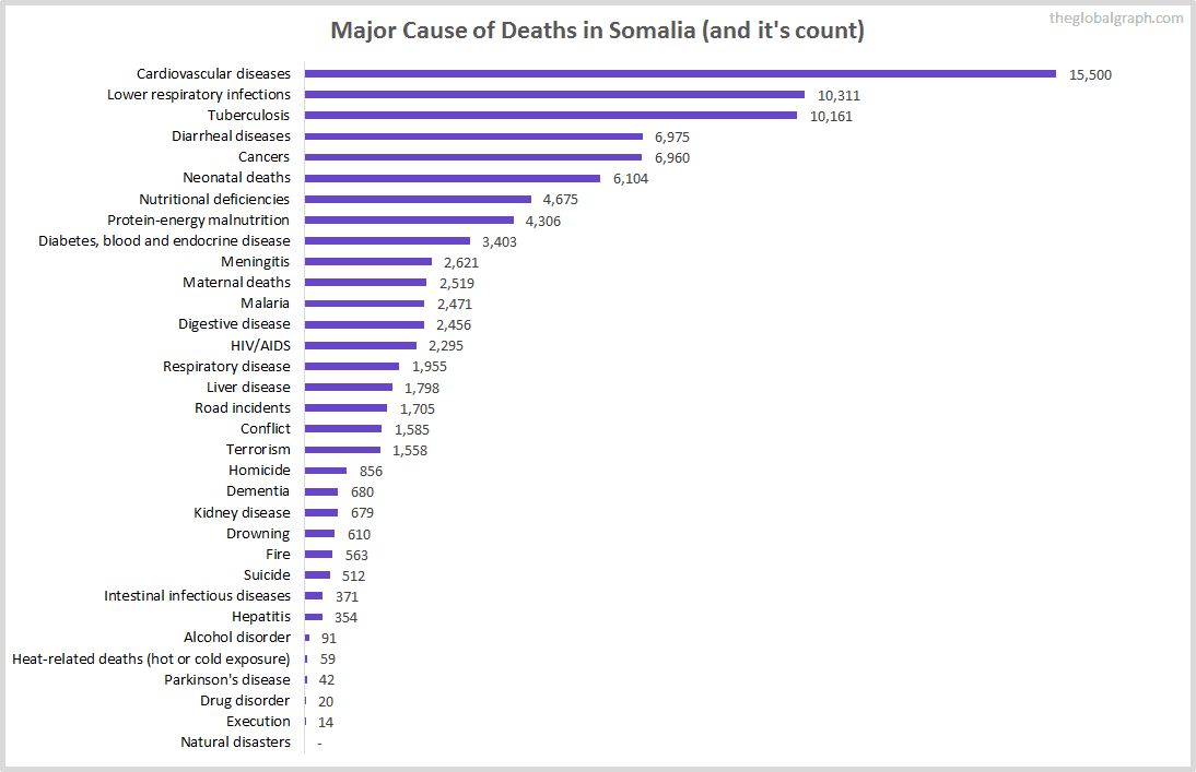Major Cause of Deaths in Somalia (and it's count)