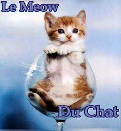 Le Meow Du Chat