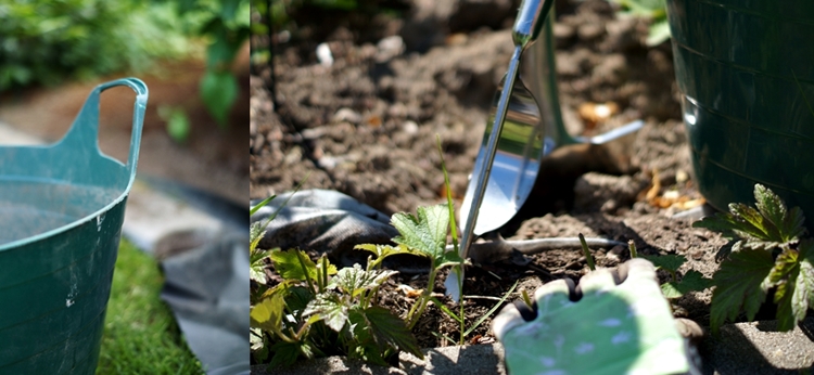 grüner Flexeimer, Gartenhandschuhe und Unkrautstecher  {it's me!}.jpg