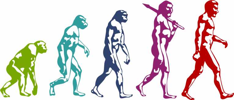 ¿Los humanos realmente descienden de los monos?
