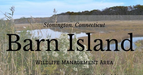 Barn Island Trail Map Katie Wanders Barn Island Stonington Connecticut