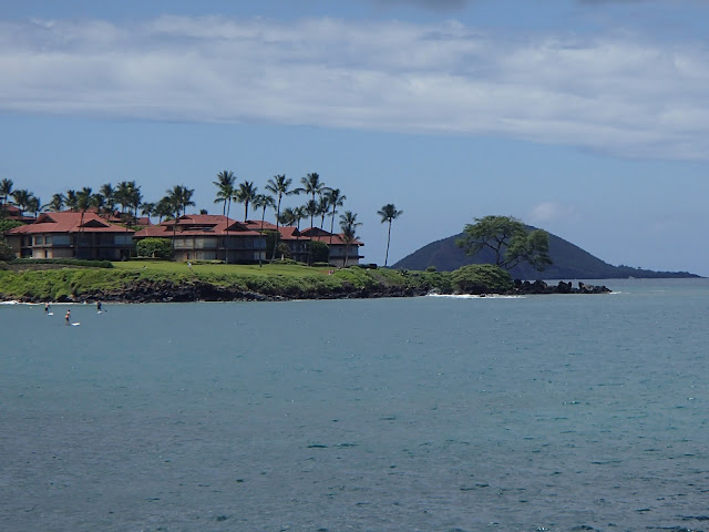 Wailea Point