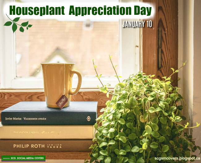 SCG Social Media COVERS BANNERS Houseplant