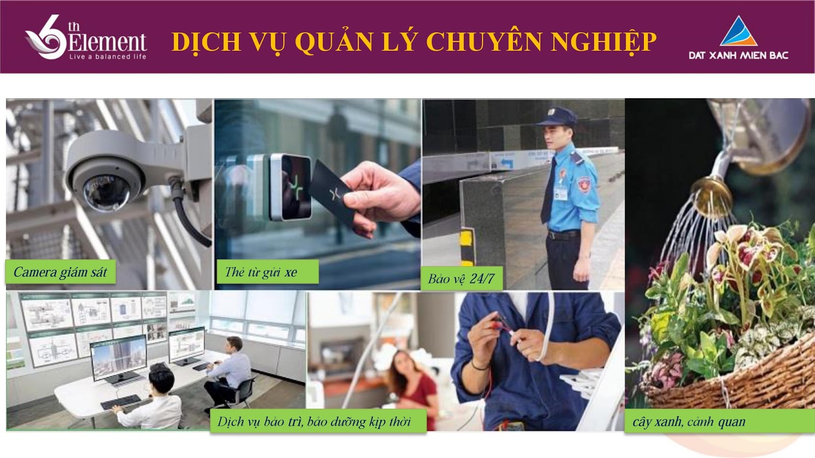 Dịch vụ quản lý chuyên nghiệp