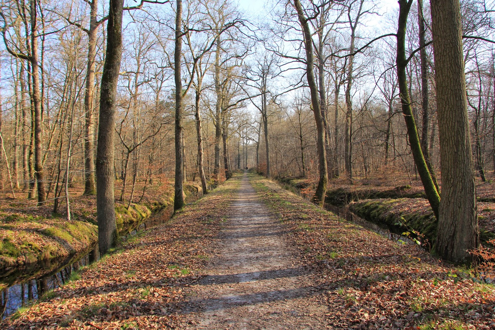 LA GAZETTE DE BIBI: PROMENADE DE LA MARE AUX EVEES