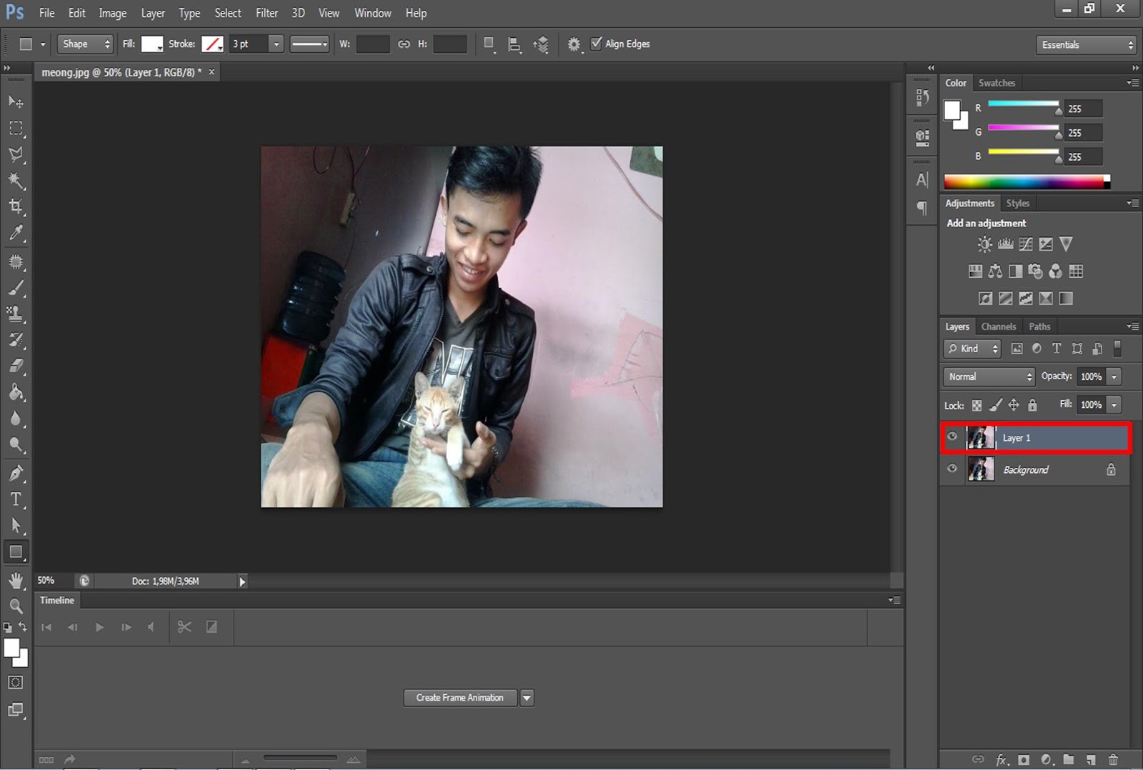 Cara edit foto agar blur di belakang objek menggunakan Apapun