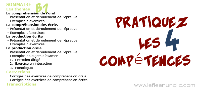 contenu de l'eBook préparation au delf A2, exercices, le fle en un clic