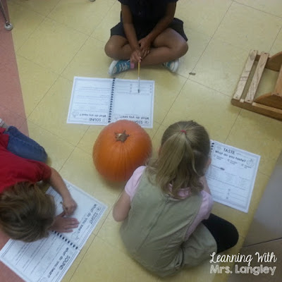 The life cycle of a pumpkin is an excellent way to teach math, reading, writing, and science all wrapped into one! We practice things like sight words and handwriting while using our 5 senses to explore pumpkins. These hands on activities are great for fine motor and this set includes emergent readers for your youngest readers. #kindergarten #lifecycleofapumpkin #pumkinunit #kindergartenclassroom