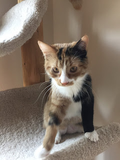 Skittles is a doll! Skittles is a doll!
