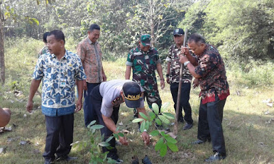 KORAMIL TANON LAKSANAKAN PENGHIJAUAN