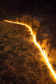 5th and state: Garden Trends 2016