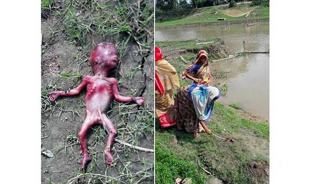 Something about a bastard to a mother ... মায়ের কাছে একটি জারজ সন্তানের কিছু কথা...