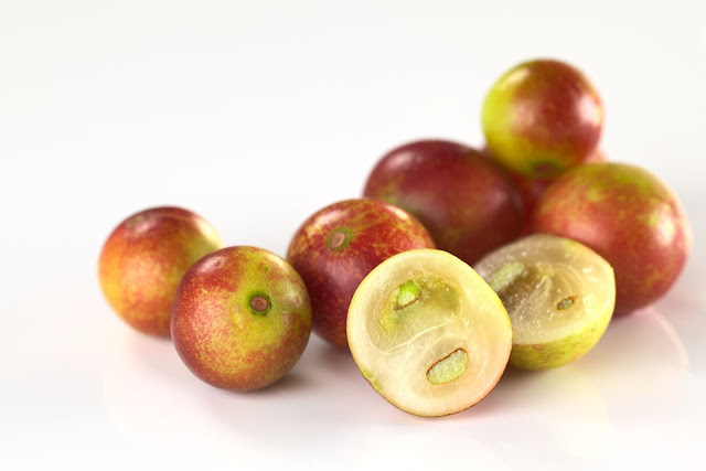 Camu Camu meyvesi