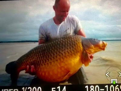 schubkarper op Lac du Der