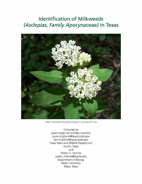 https://tpwd.texas.gov/huntwild/wild/wildlife_diversity/nongame/publications/media/TPWD-Identification-Milkweeds-Texas.pdf