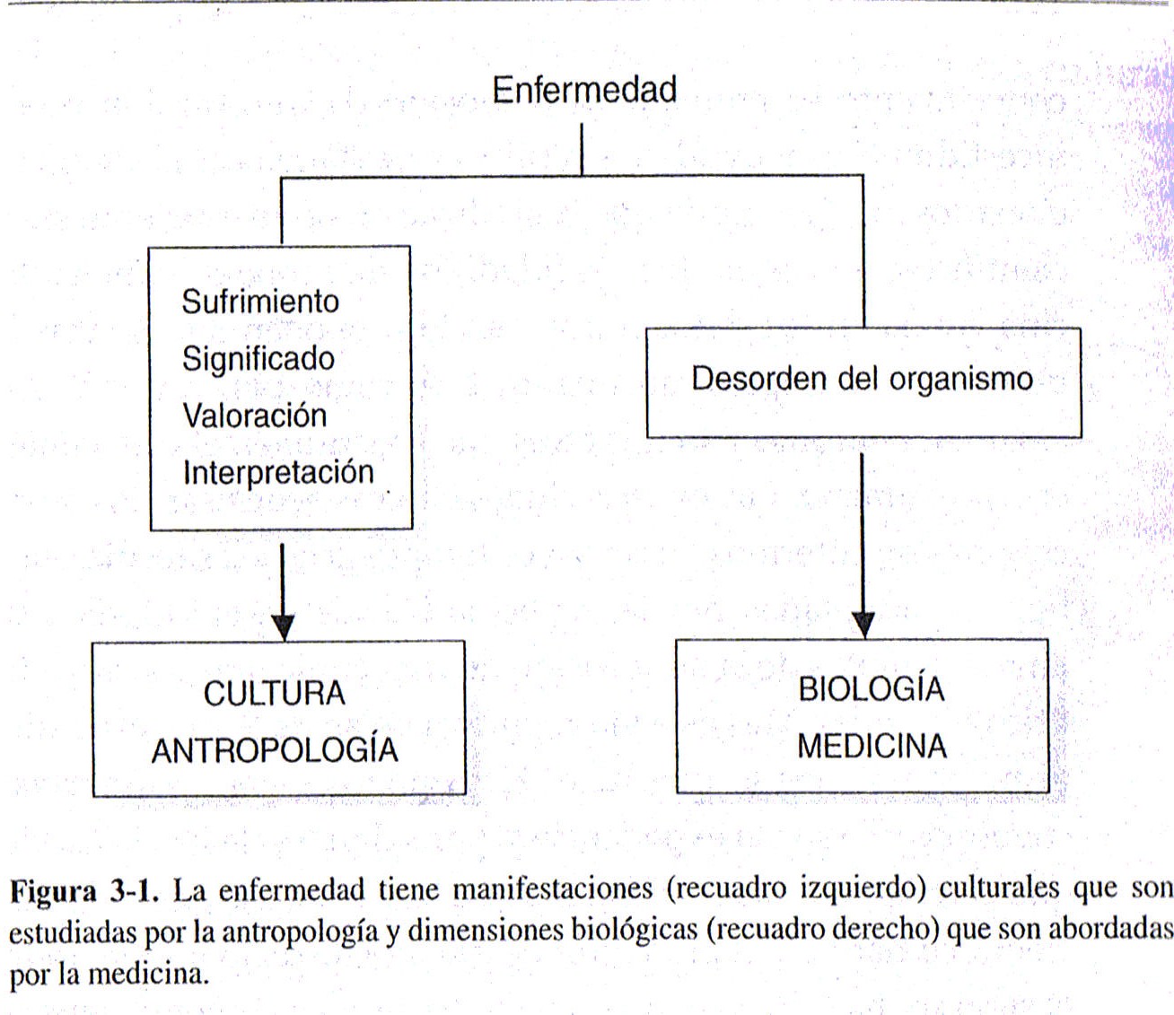 enfermedad médica significado
