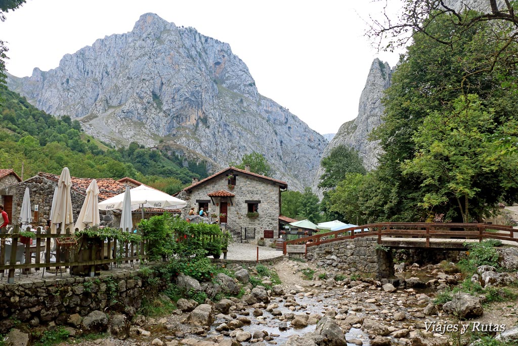 Bulnes