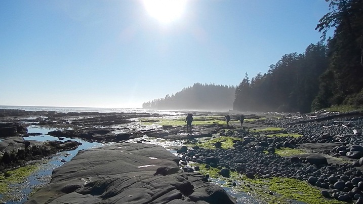 West Coast Trail, Tempat Terbaik Melihat Keindahan Kanada West Coast Trail, Tempat Terbaik Melihat Keindahan Kanada