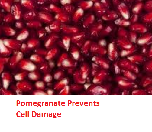 Health Benefits of Pomegranate Fruit (anar fruit) juice - Pomegranate Prevents Cell Damage