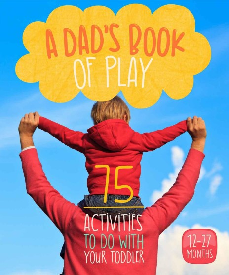   A Dad`s Book Of Play