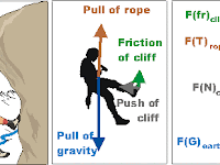 Force Diagram Force Diagram