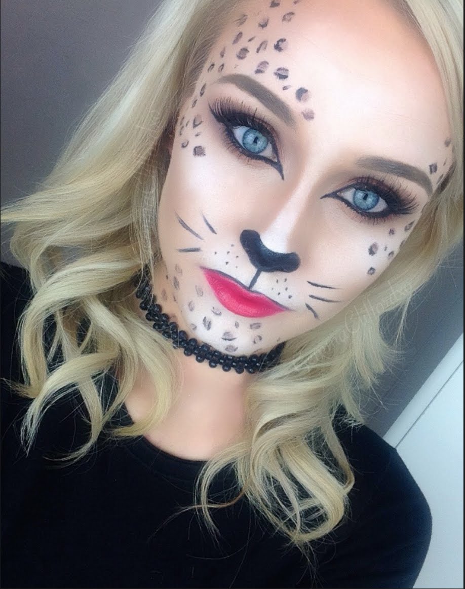 Basic Cat Face Paint Cheshire Basic Cat Face Paint Cheshire