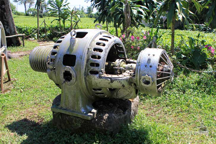 agrowisata perkebunan teh pagilaran batang