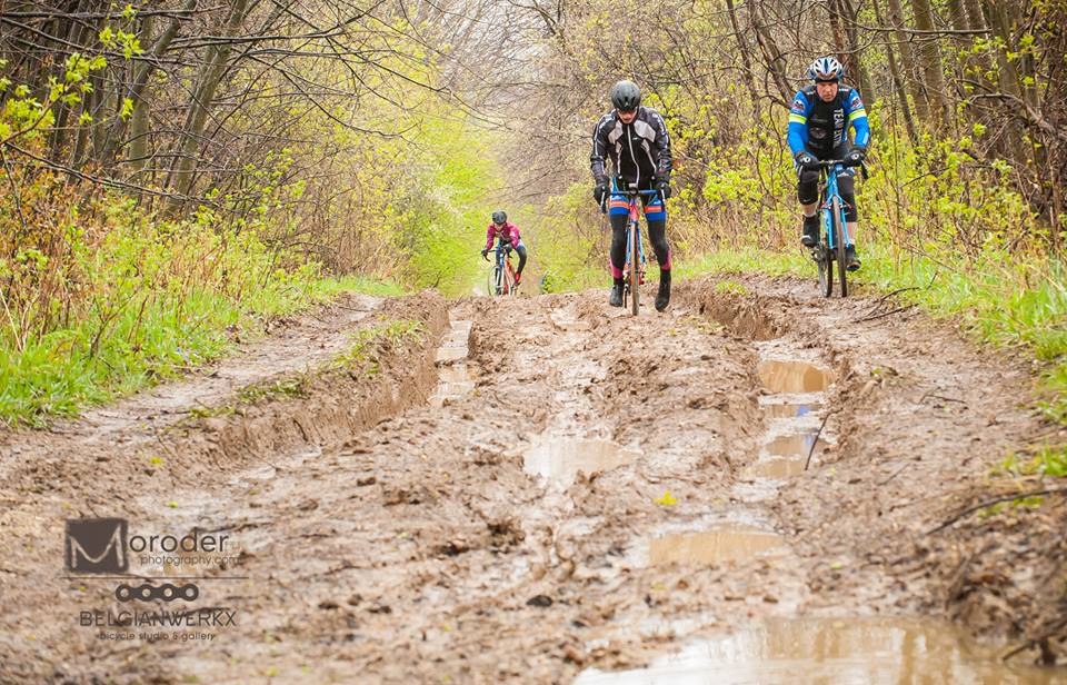 Bike Washington County Not Your Average Cheesehead Roubaix