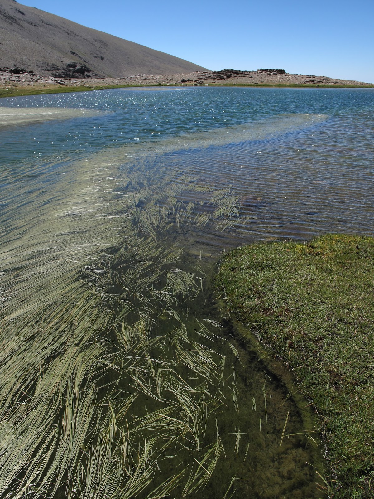 El Blog de Ignacio Henares A pie 'Juntillas'
