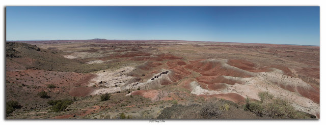 Petrified Desolation