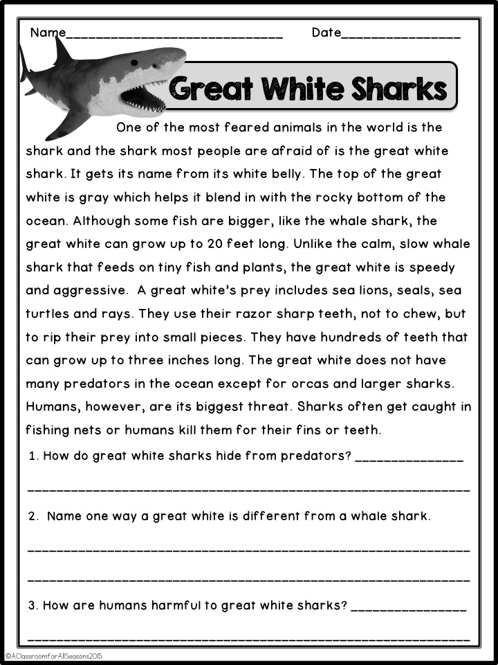 5 Pages 2nd Grade Nonfiction Reading Comprehension Worksheets Dd6