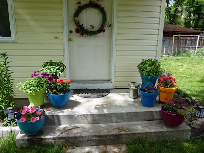 Spring in Full Swing