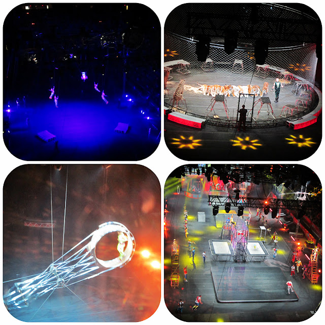 Ringling Bros. and Barnum & Bailey Circus Xtreme Ringling Bros. and Barnum & Bailey Circus Xtreme